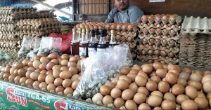 Harga Telur Ayam Melonjak Naik Jelang Ramadan