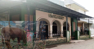 Panitia Kurban Masjid Al-Quddusussyaif Bersiap Sambut Hari Raya Idul Adha