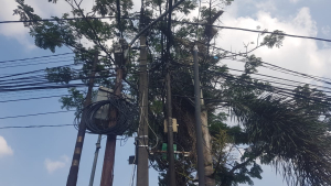 Keluhkan Kabel Semrawut Warga Komplek Sapta Taruna III Meminta DBM Turun Tangan