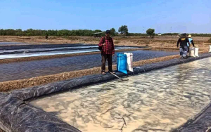 Petani Garam Kertawinangun, Luput dari Perhatian Pemerintah Pusat