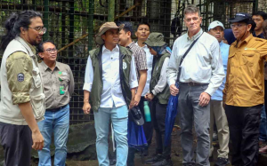 Ladang Ganja di Taman Nasional Bromo: Terungkap Berkat Drone, Kini Masuk Meja Hijau