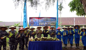 Panen Raya Jagung di Dumai: Lanal Dumai Optimalkan Lahan Tidur untuk Ketahanan Pangan