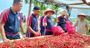 Bakamla RI Perkuat Ketahanan Pangan, Panen Perdana Cabai Keriting di Lahan Mako Baru