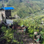 Satgas Yonif 715/Mtl Bangun Ketahanan Pangan di Lereng Puncak Jaya, Warga Antusias