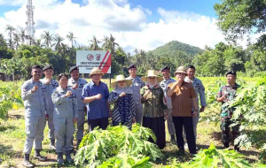 Kepala Bakamla RI Panen Kacang Tanah di Karangasem, Dukung Ketahanan Pangan