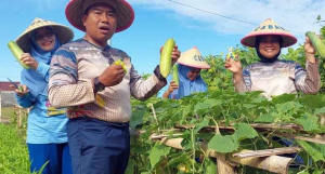 Satlinlamil 3 Buktikan Ketahanan Pangan Bisa Dimulai dari Lahan Tidur