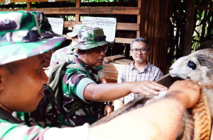 TNI Gandeng IPB: Bentuk Kompi Produksi, Siapkan Prajurit Jadi Jawara Ketahanan Pangan