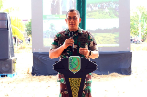 Pangdam XII/Tpr Dampingi Panen Raya Padi di Sambas, Dukung Asa Cita Presiden Bangun Ketahanan Pangan