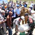 Dari Langit ke Sawah: Danlanud Sultan Hasanuddin Turun Langsung Dukung Ketahanan Pangan Nasional