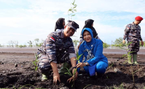 Danlanal Dumai Tanam 3.000 Mangrove Bersama Warga dan Forkopimda