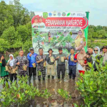 Danlanal Bintan dan Prajurit TNI AL Tanam 5.000 Pohon Mangrove di Tanjungpinang