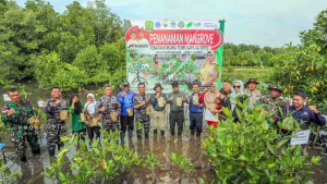 Danlanal Bintan dan Prajurit TNI AL Tanam 5.000 Pohon Mangrove di Tanjungpinang