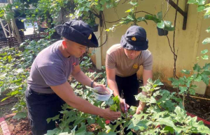 Panen Terong, Brimob Polda Metro Jaya Bagikan Hasil ke Warga Sekitar Asrama