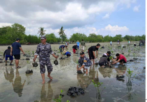 Hijaukan Pesisir, Lanal Bintan dan YEKR Tanam 50.000 Mangrove di Berakit