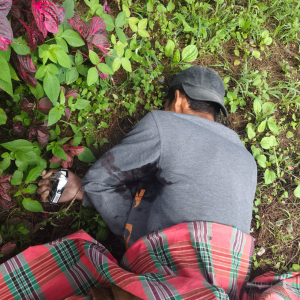 OPM Tembak Mati Dua Tukang Bangunan Gereja di Jayawijaya