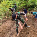 TNI dan Warga Wametkapa Sulap Lahan Tidur Jadi Kebun Pangan