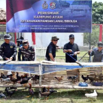 Lanal Sibolga Luncurkan Kampung Ayam di Tapanuli Tengah, Solusi Ketahanan Pangan dari Pesisir