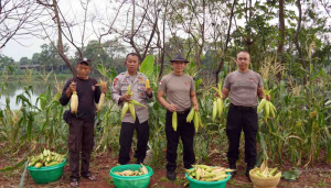 Batalyon C Pelopor Tunjukkan Komitmen Jaga Ketahanan Pangan Nasional