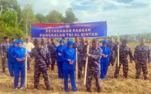 Lanal Bintan Tanam Jagung, Perkuat Ketahanan Pangan dan Dukung Program Asta Cita