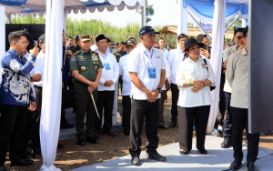 TNI Turun ke Sawah, Panglima Kawal Langsung Panen Tebu Menuju Swasembada Gula