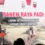 Danlantamal I Hadiri Panen Raya Padi Bersama Panglima TNI