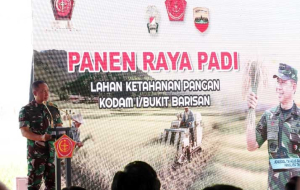 Danlantamal I Hadiri Panen Raya Padi Bersama Panglima TNI