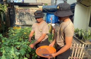 Dari Halaman Samping Mako, Brimob Panen Sayur dan Rawat Hidroponik untuk Warga Sekitar