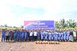 Sambut Hari Bakti TNI AU ke-78, Lanud Sultan Hasanuddin Panen Jagung di Lahan 53 Hektar
