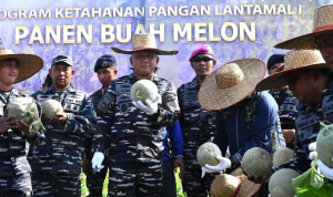 Lantamal I Dorong Ketahanan Pangan Lewat Bintahwilmar