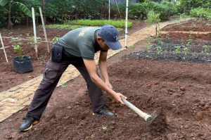 Brimob Batalyon C Pelopor Polda Metro Jaya Gencarkan Program Ketahanan Pangan