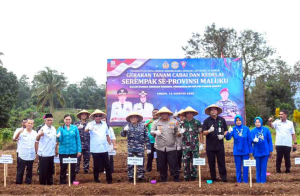 Kodaeral IX, Pemda, dan Lintas Instansi Kompak Tanam Serentak Cabai & Kedelai di Ambon