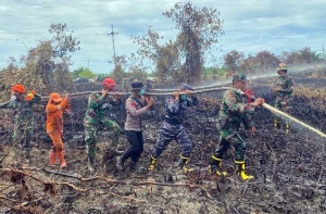 Pangdam I/BB Turun ke Rokan Hilir, Lanal Dumai Tegaskan Siap Bersatu Padamkan Karhutla