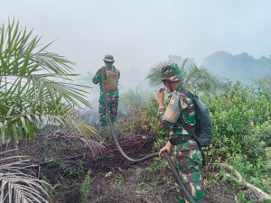 Gerak Cepat TNI AL Padamkan Karhutla Gambut 10 Hektar, Satu Pelaku Dibekuk