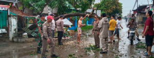 Polisi Bergerak Cepat Evakuasi Pohon Tumbang di Jalan Raya Sliyeg Indramayu