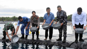 Lanal Bintan Laksanakan Penebaran Benih Udang Vaname Seluas 5 Ha