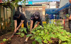 Brimob Batalyon A Pelopor Rawat Lahan Ketahanan Pangan