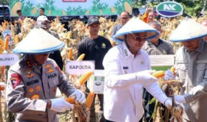 Kapolda Jabar Dukung Gerakan 1 Juta Hektare Jagung di Indramayu