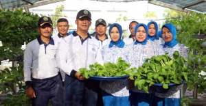 Lanal Dumai Tunjukkan Ketahanan Pangan Bisa Terwujud di Lahan Terbatas