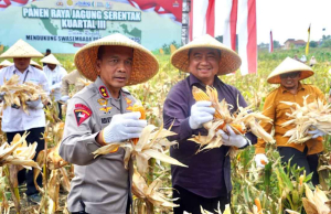 Polda Jabar Panen Raya Serentak, Hasilkan 141 Ton Jagung