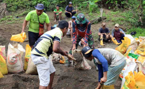 Satgas TMMD Kodim 1505/Tidore Gotong Royong untuk Pembangunan Lapangan Bola Voli