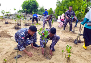 Lanal Bintan Tanam 1.200 Bibit Mangrove di Kawasan Pantai BBT
