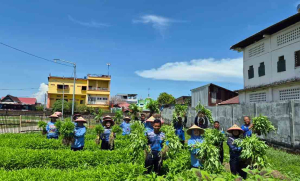 Satlinlamil 3 Panen Perdana Sayuran, Dukungan TNI AL Terhadap Ketahanan Pangan Nasional