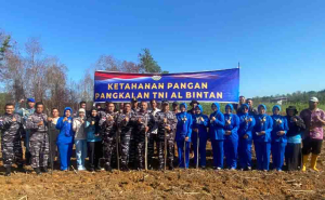 Lanal Bintan Tanam Sorgum di Lahan 5.000 m², Dukung Kemandirian Pangan Warga