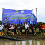 TNI AL dan DKP Jabar Tanam 45000 Bibit Mangrove di Pesisir Selatan