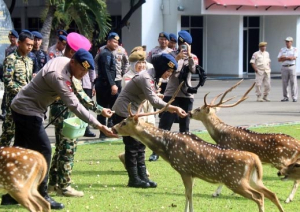 Brimob Metro Jaya Kujungi Mako Korps Marinir Dalam HUT ke-80 Marinir TNI AL