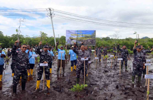 Kodaeral X Ajak Masyarakat Peduli Pesisir: Menanam Mangrove untuk Masa Depan Papua