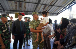 Wapang TNI Tinjau Daerah Terdampak Banjir di Aceh: Komitmen Penanganan Cepat