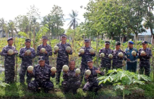 Panen Raya Melon Lanal Bengkulu, Bukti Nyata TNI AL Dukung Ketahanan Pangan