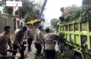 Brimob PMJ Gerak Cepat Evakuasi Pohon Tumbang dan Memperlancar Lalin