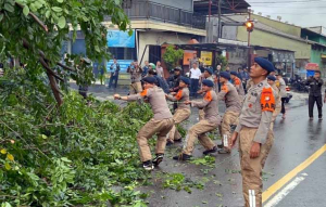 Brimob PMJ Bergerak Cepat Atasi Pohon Tumbang di Ciputat